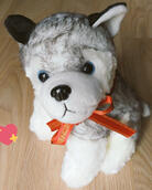 Dog plush